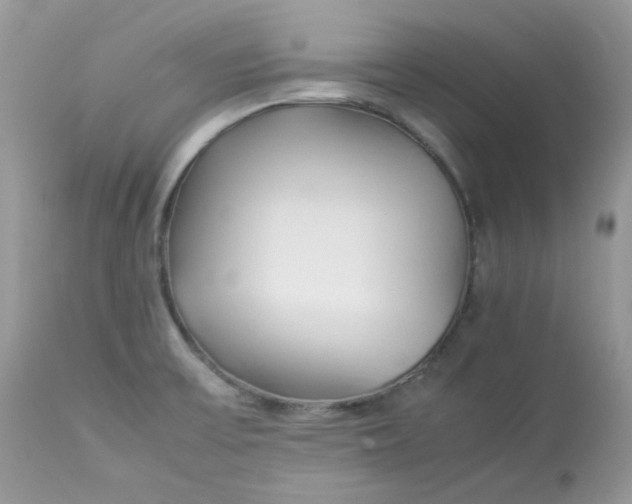 X0000112871475200909111521