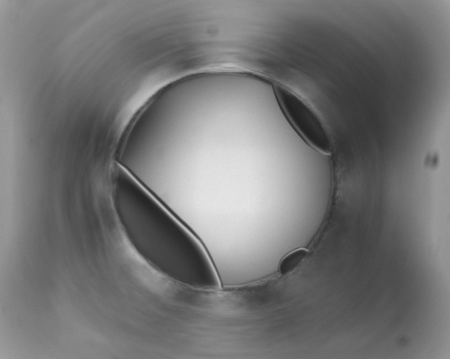 X0000112871476200909111521