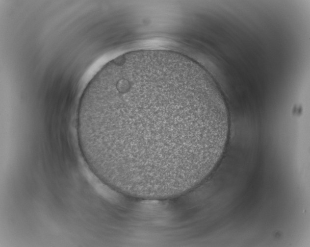 X0000112871478200909111521