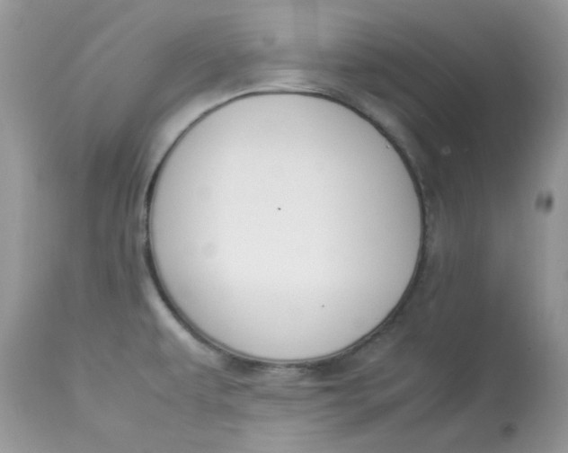 X0000112871479200909111521