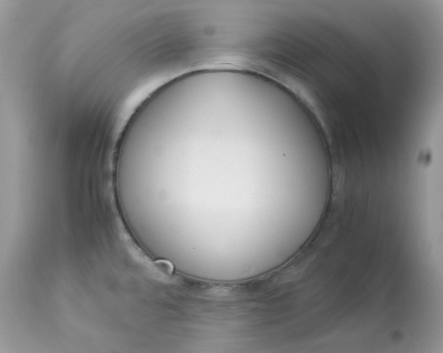 X0000112871480200909111521