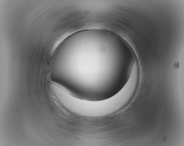 X0000112871481200909111521