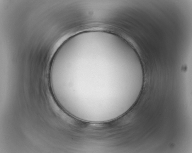 X0000112871483200909111521