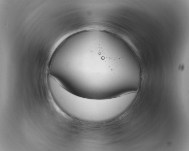 X0000112871484200909111520