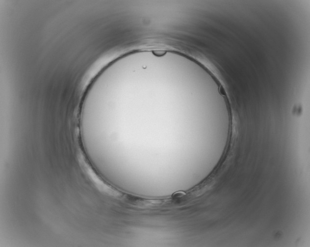 X0000112871485200909111520