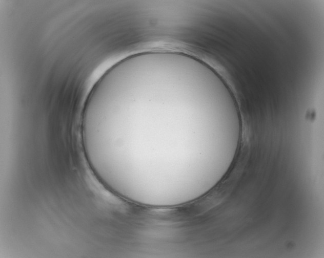 X0000112871486200909111520