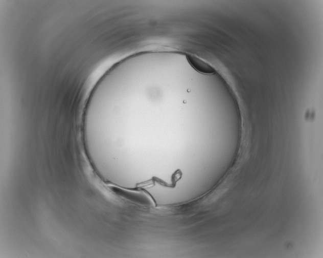 X0000112871488200909111520