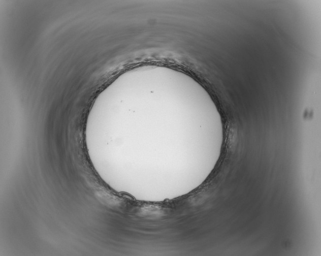 X0000112871489200909111520