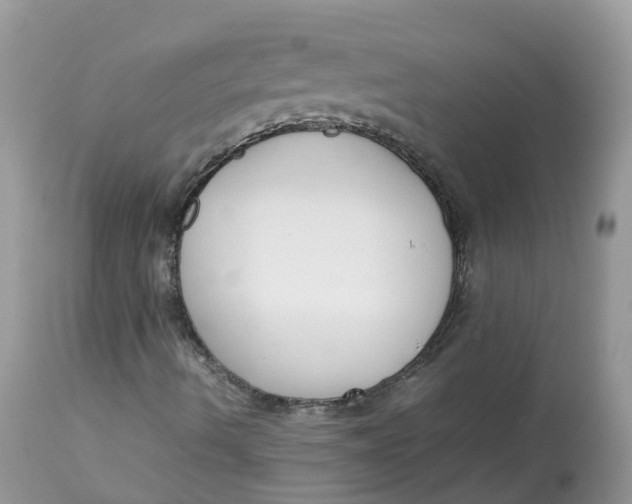 X0000112871490200909111520