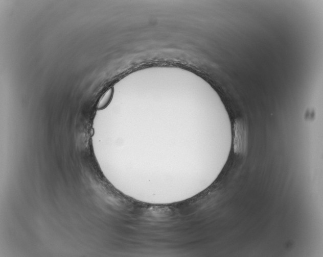 X0000112871491200909111520