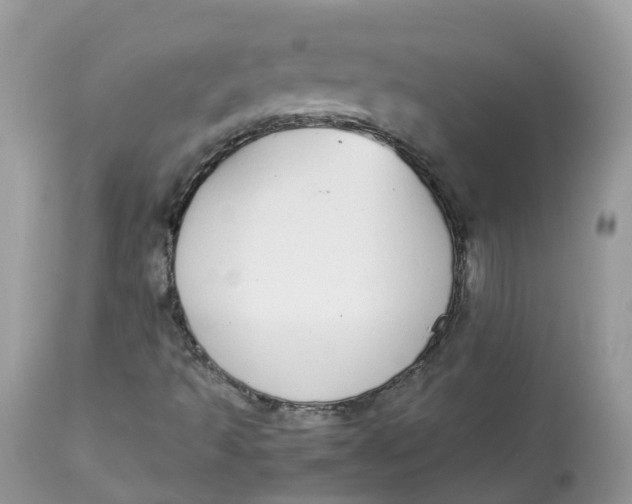 X0000112871493200909111520