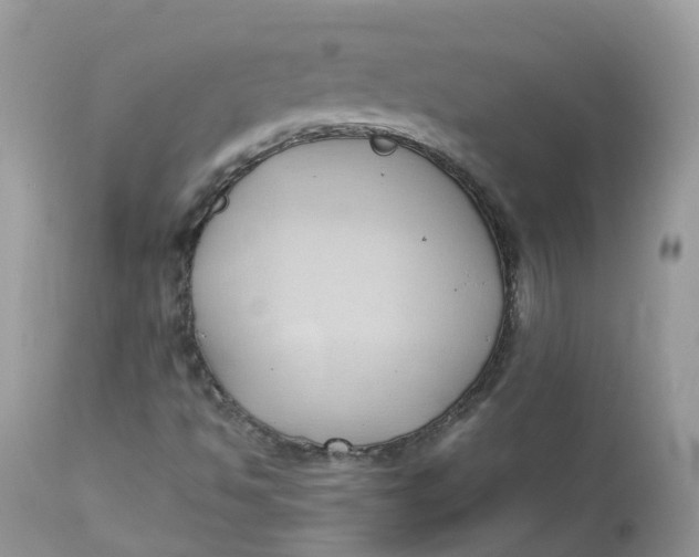 X0000112871494200909111520