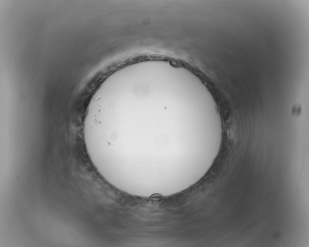 X0000112871495200909111520