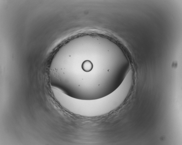 X0000112871496200909111520