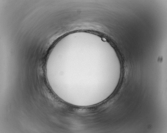 X0000112871497200909111520