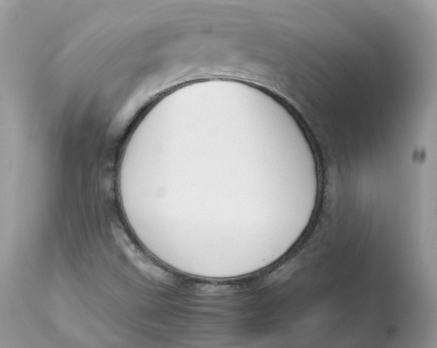 X0000112871499200909111520