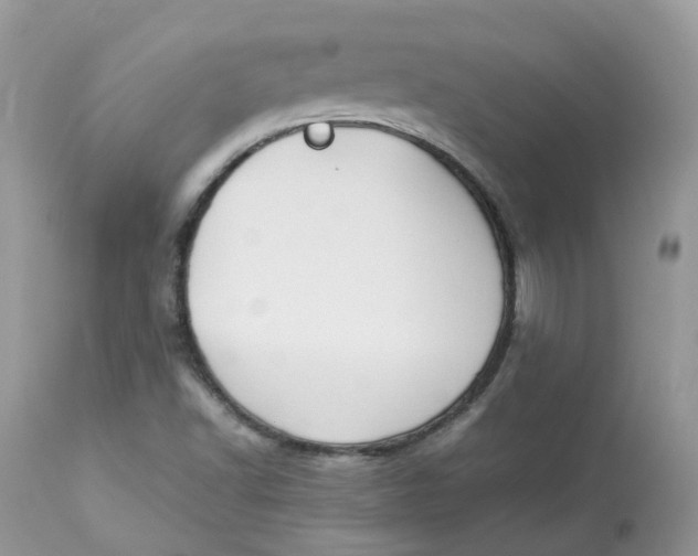 X0000112871502200909111520