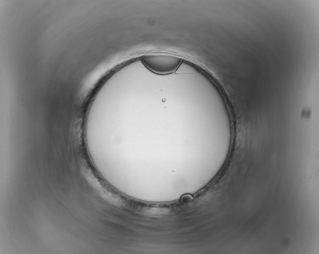 X0000112871503200909111520