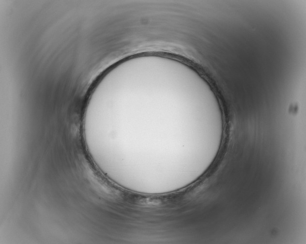 X0000112871505200909111520