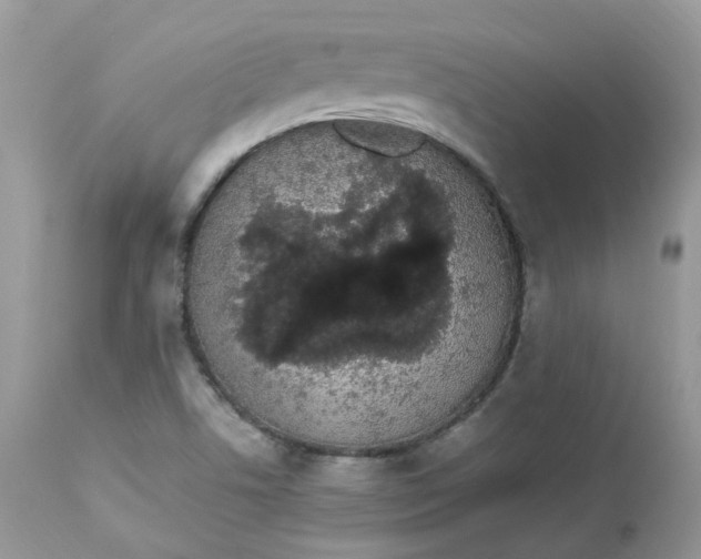 X0000112871506200909111520