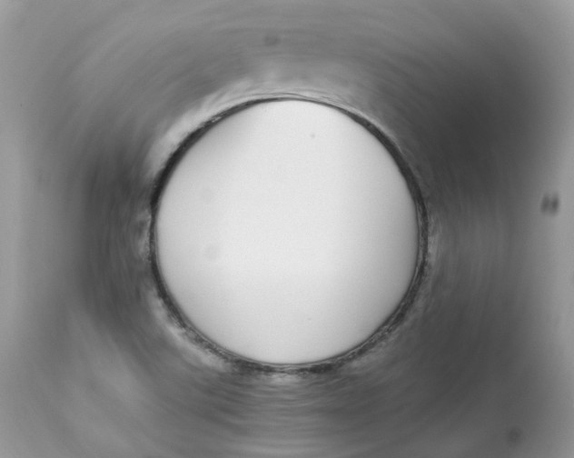 X0000112871507200909111520