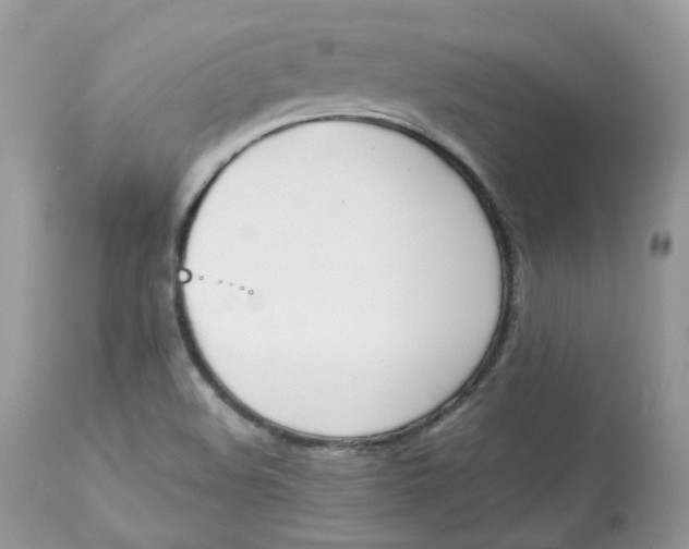 X0000112871508200909111520