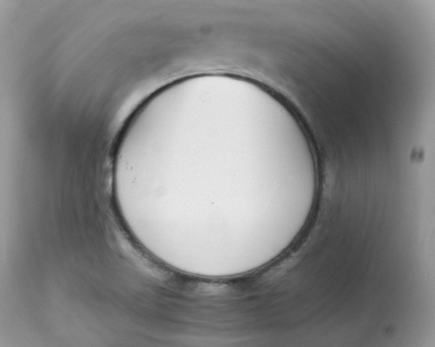 X0000112871509200909111520