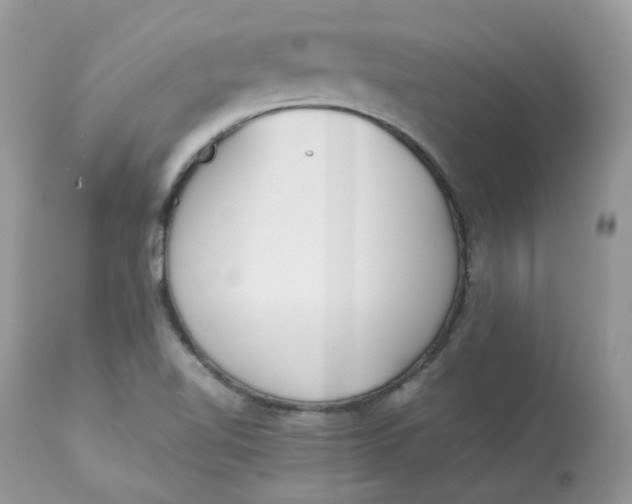 X0000112871510200909111520