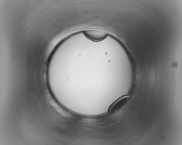 X0000112871511200909111520