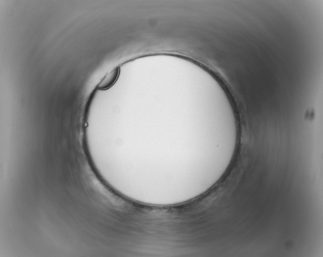 X0000112871512200909111520