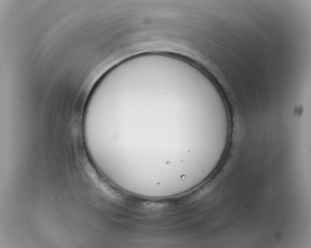 X0000112871513200909111520