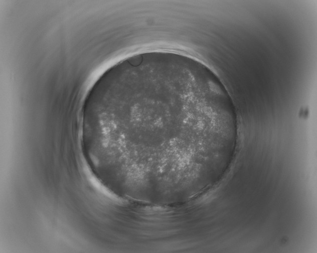 X0000112871515200909111520