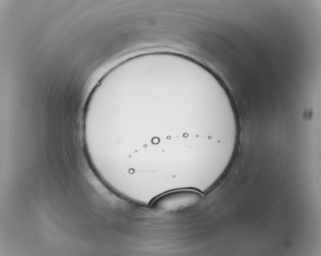 X0000112871516200909111520