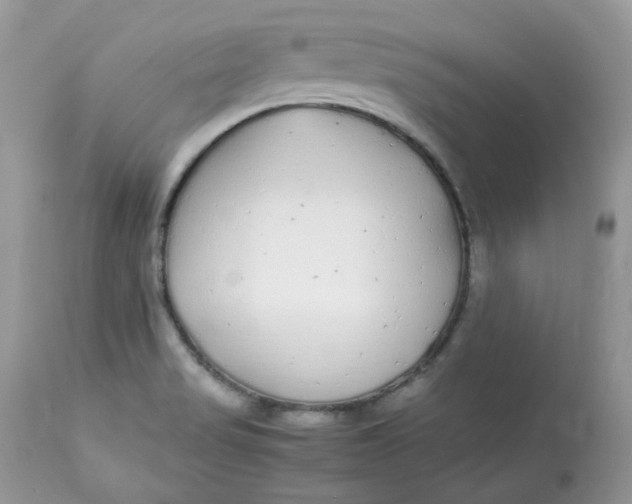 X0000112871517200909111520