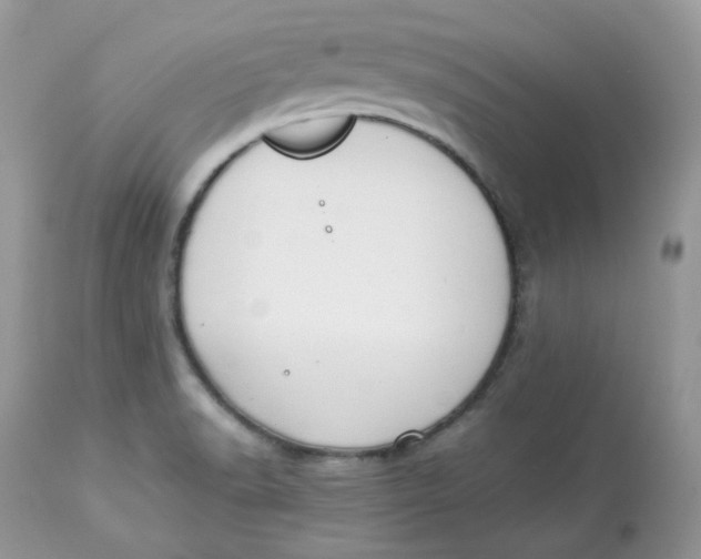 X0000112871518200909111520