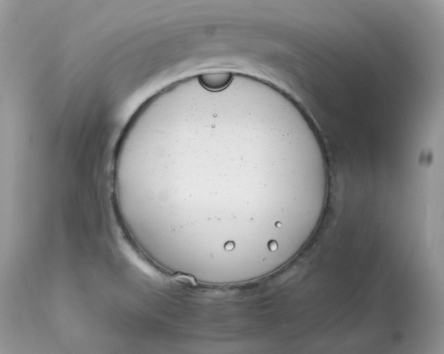 X0000112871519200909111520