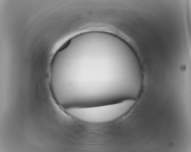 X0000112871520200909111520