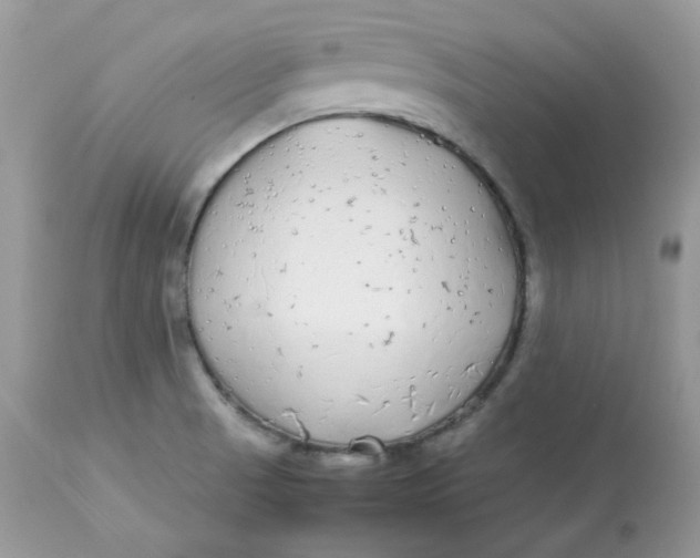 X0000112871521200909111520