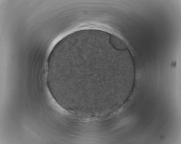 X0000112871522200909111520