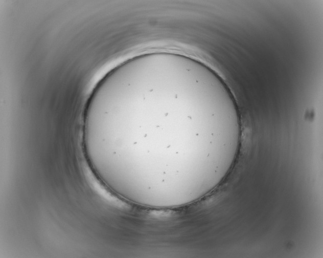 X0000112871523200909111520