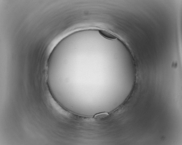 X0000112871524200909111520