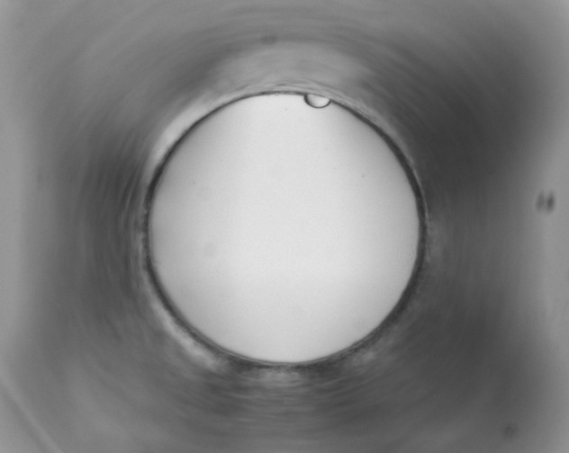 X0000112871525200909111520