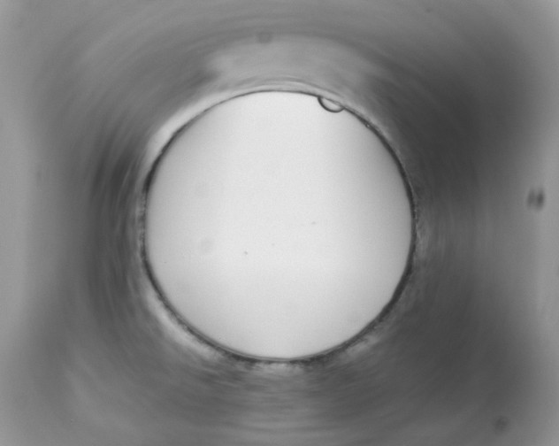 X0000112871526200909111520