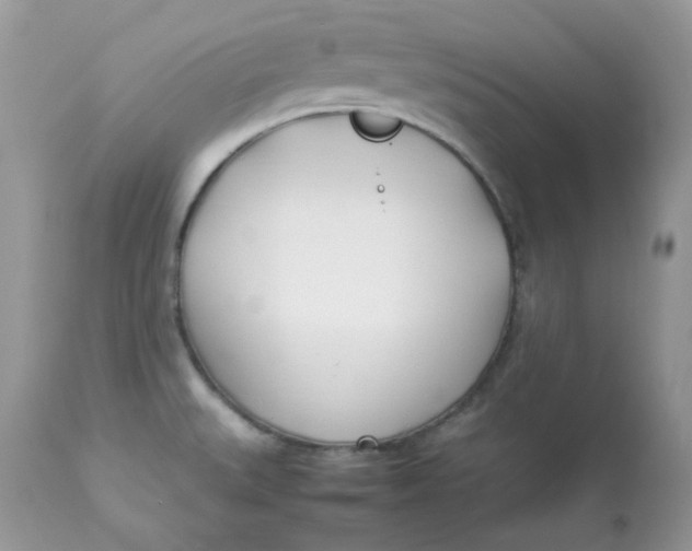 X0000112871527200909111520