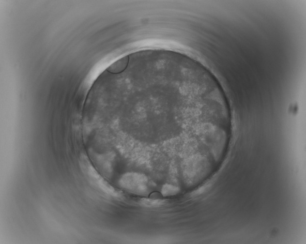 X0000112871529200909111520