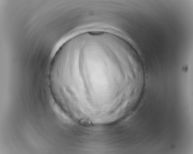 X0000112871530200909111520