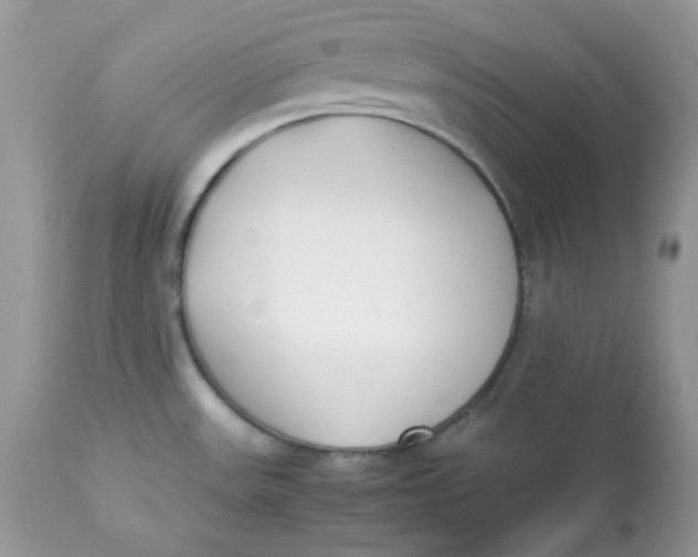 X0000112871531200909111520