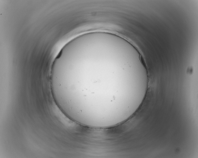 X0000112871532200909111520