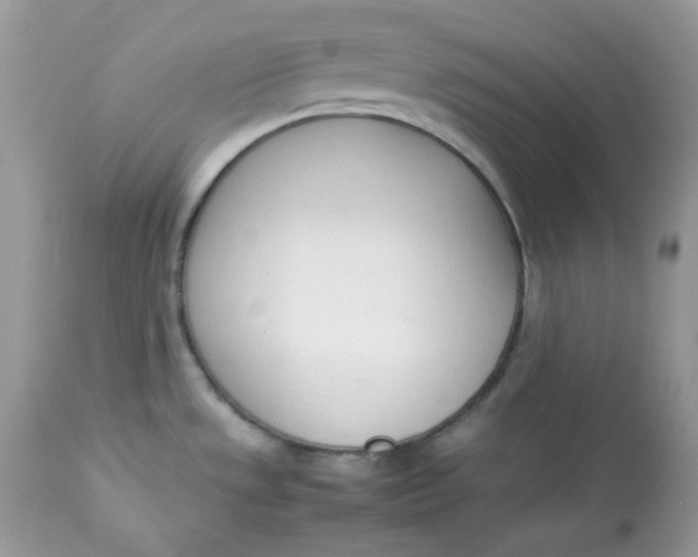 X0000112871533200909111520