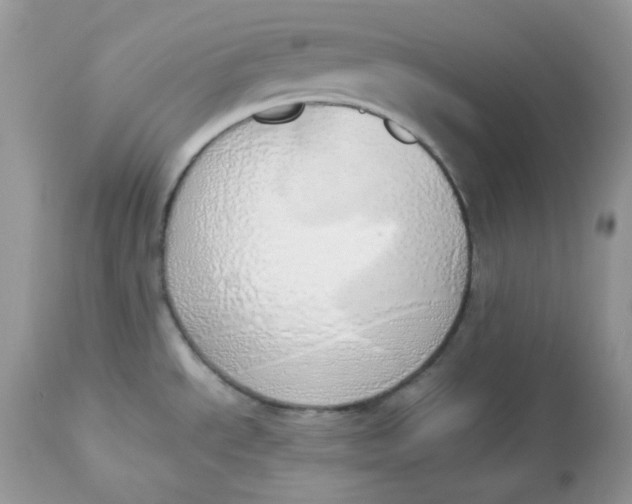 X0000112871534200909111520